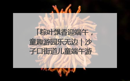 粽叶飘香迎端午，童趣游园乐无边｜沙子口街道儿童端午游园活动圆满落幕