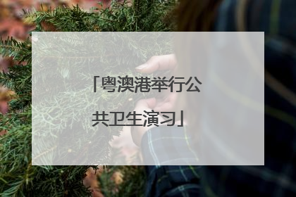 粤澳港举行公共卫生演习