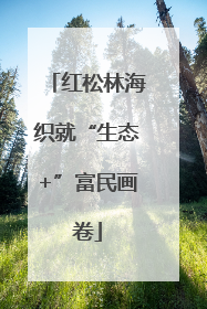 红松林海织就“生态+”富民画卷