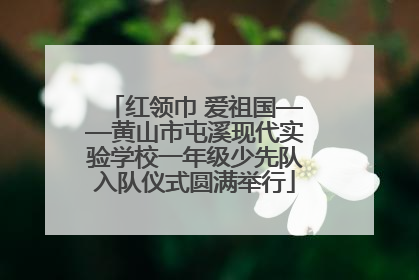红领巾 爱祖国——黄山市屯溪现代实验学校一年级少先队入队仪式圆满举行