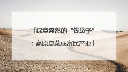 绿意盎然的“钱袋子”：高原夏菜成富民产业