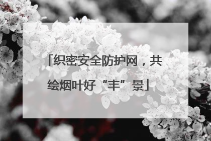 织密安全防护网，共绘烟叶好“丰”景