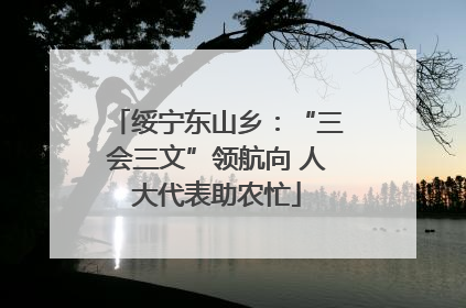 绥宁东山乡：“三会三文”领航向 人大代表助农忙