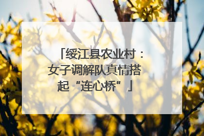 绥江县农业村：女子调解队真情搭起“连心桥”