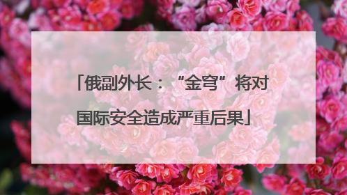 俄副外长：“金穹”将对国际安全造成严重后果