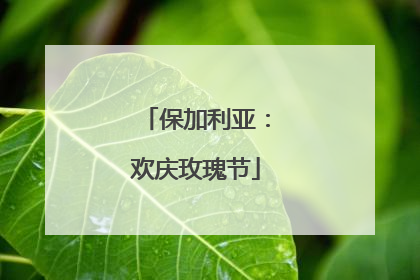 保加利亚：欢庆玫瑰节