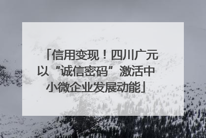 信用变现！四川广元以“诚信密码”激活中小微企业发展动能