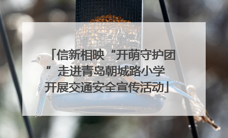 信新相映“开萌守护团”走进青岛朝城路小学 开展交通安全宣传活动