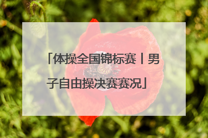 体操全国锦标赛丨男子自由操决赛赛况