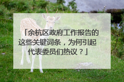 余杭区政府工作报告的这些关键词条，为何引起代表委员们热议？