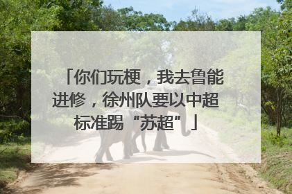 你们玩梗，我去鲁能进修，徐州队要以中超标准踢“苏超”