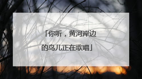 你听，黄河岸边的鸟儿正在歌唱