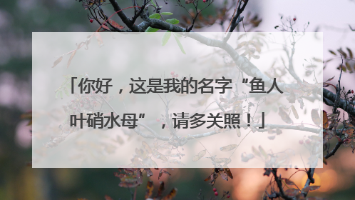 你好，这是我的名字“鱼人叶硝水母”，请多关照！