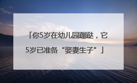 你5岁在幼儿园蹦跶，它5岁已准备“娶妻生子”