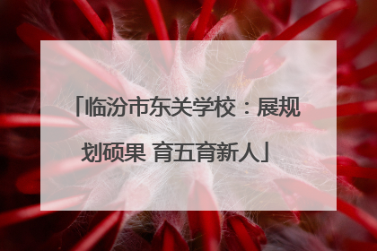 临汾市东关学校：展规划硕果 育五育新人