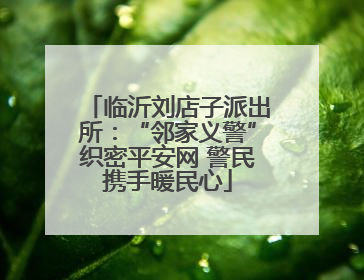 临沂刘店子派出所：“邻家义警”织密平安网 警民携手暖民心