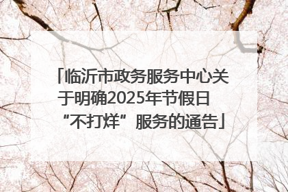 临沂市政务服务中心关于明确2025年节假日“不打烊”服务的通告