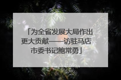 为全省发展大局作出更大贡献——访驻马店市委书记鲍常勇