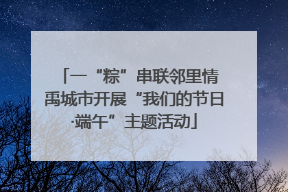 一“粽”串联邻里情 禹城市开展“我们的节日·端午”主题活动