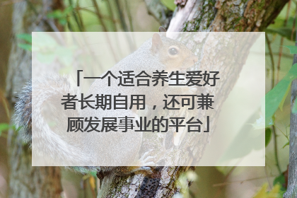 一个适合养生爱好者长期自用，还可兼顾发展事业的平台