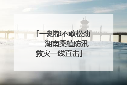一刻都不敢松劲——湖南桑植防汛救灾一线直击
