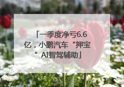 一季度净亏6.6亿，小鹏汽车“押宝”AI智驾辅助