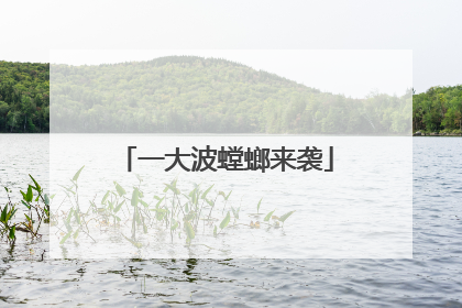 一大波螳螂来袭