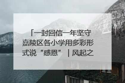 一封回信一年坚守 嘉陵区各小学用多彩形式说“感恩”｜风起之江 扶摇直上