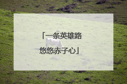 一条英雄路 悠悠赤子心