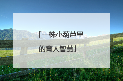 一株小葫芦里的育人智慧
