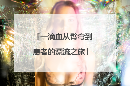 一滴血从臂弯到患者的漂流之旅