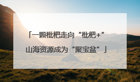 一颗枇杷走向“枇杷+” 山海资源成为“聚宝盆”