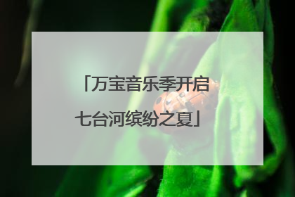 万宝音乐季开启七台河缤纷之夏