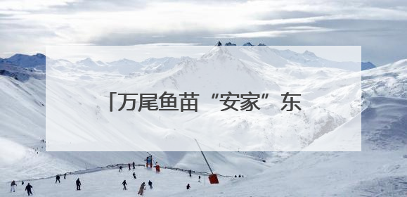 万尾鱼苗“安家”东海 浙江海洋增殖放流活动在台州启幕