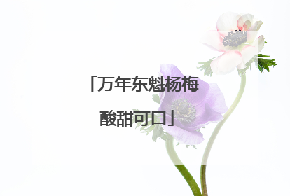 万年东魁杨梅 酸甜可口