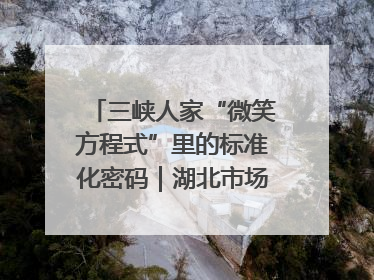 三峡人家“微笑方程式”里的标准化密码｜湖北市场监管所的故事