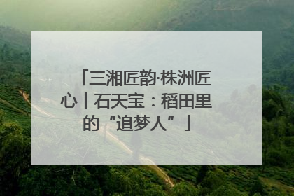 三湘匠韵·株洲匠心丨石天宝：稻田里的“追梦人”