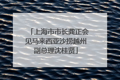 上海市市长龚正会见马来西亚沙捞越州副总理沈桂贤