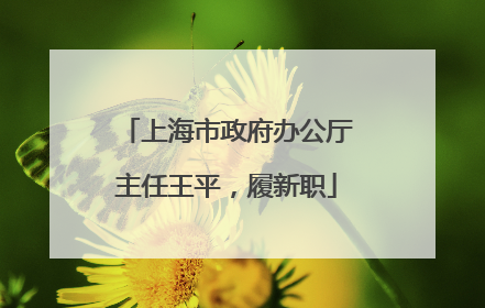 上海市政府办公厅主任王平，履新职