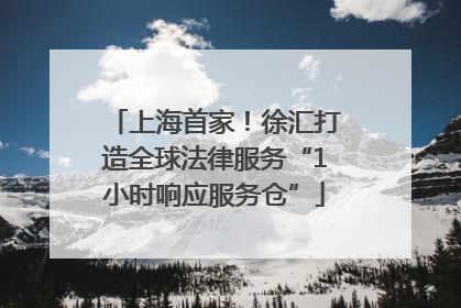 上海首家！徐汇打造全球法律服务“1小时响应服务仓”