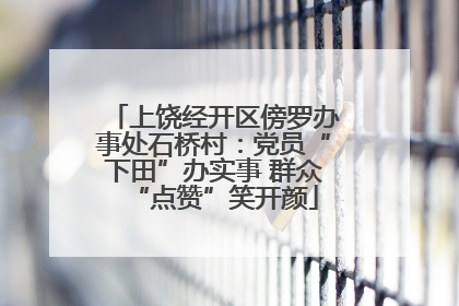 上饶经开区傍罗办事处石桥村：党员“下田”办实事 群众“点赞”笑开颜