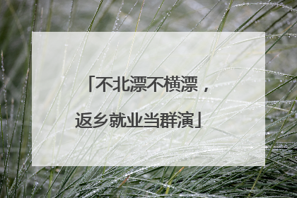 不北漂不横漂，返乡就业当群演
