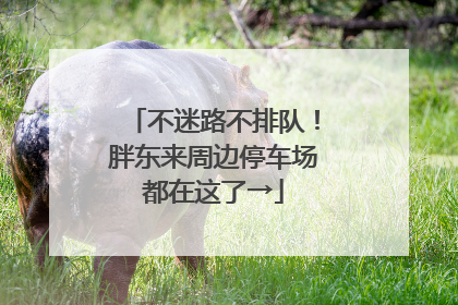 不迷路不排队！胖东来周边停车场都在这了→