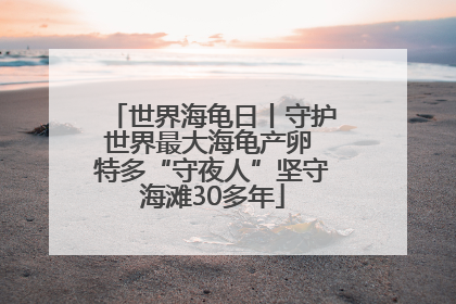 世界海龟日丨守护世界最大海龟产卵 特多“守夜人”坚守海滩30多年