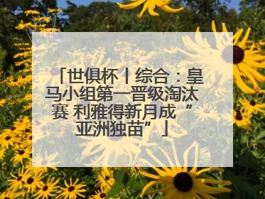 世俱杯丨综合：皇马小组第一晋级淘汰赛 利雅得新月成“亚洲独苗”