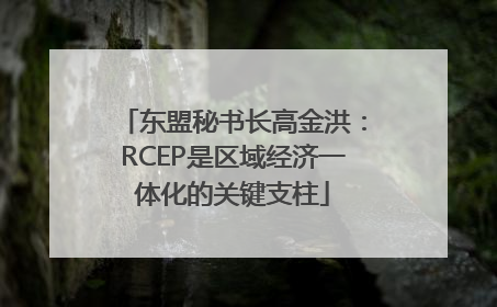 东盟秘书长高金洪：RCEP是区域经济一体化的关键支柱