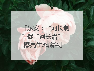 东安：“河长制”促“河长治” 擦亮生态底色