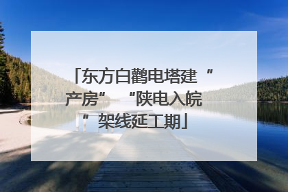 东方白鹳电塔建“产房” “陕电入皖”架线延工期