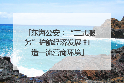 东海公安：“三式服务”护航经济发展 打造一流营商环境