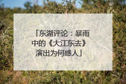 东湖评论：暴雨中的《大江东去》演出为何感人